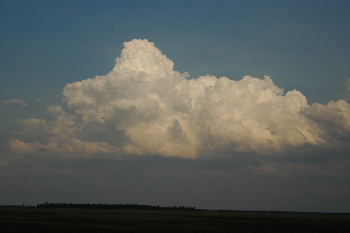 cumulus congestus : N of Goodiwindi, QLD   14 January 2007