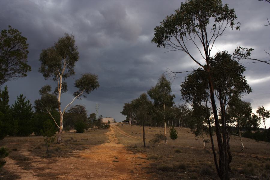 cumulonimbus thunderstorm_base : 20km N of Goulburn, NSW   17 January 2007