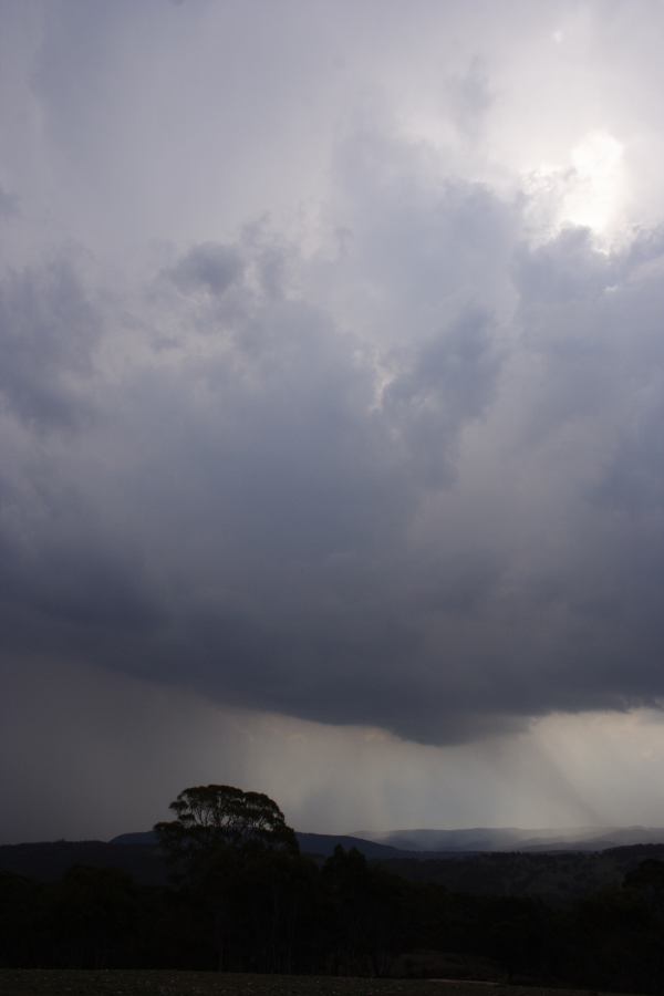 cumulonimbus thunderstorm_base : Mt Lambie, NSW   18 January 2007