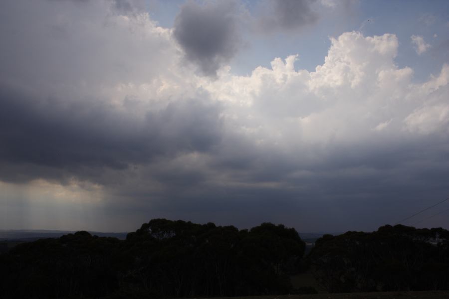 thunderstorm cumulonimbus_calvus : Mt Lambie, NSW   18 January 2007