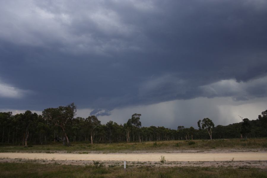 raincascade precipitation_cascade : ~20km N of Colo Heights, NSW   23 January 2007
