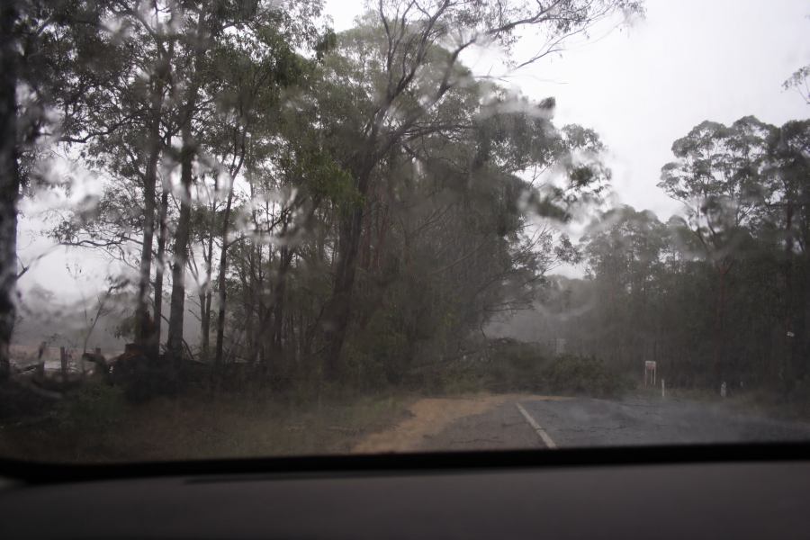 precipitation precipitation_rain : ~10km N of Colo Heights, NSW   23 January 2007