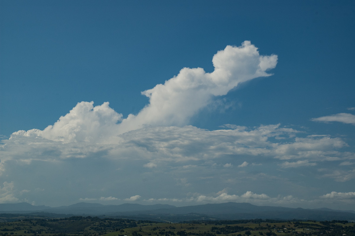 cumulus congestus : McLeans Ridges, NSW   24 January 2007