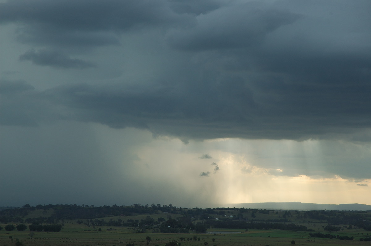 cumulonimbus thunderstorm_base : Wyrallah, NSW   31 January 2007