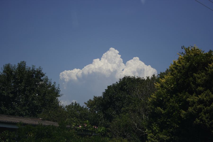 thunderstorm cumulonimbus_calvus : Kurrajong, NSW   3 February 2007