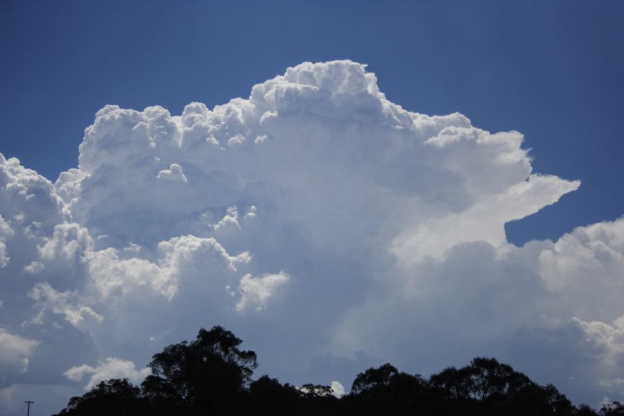 thunderstorm cumulonimbus_calvus : near Sunny Corner, NSW   3 February 2007