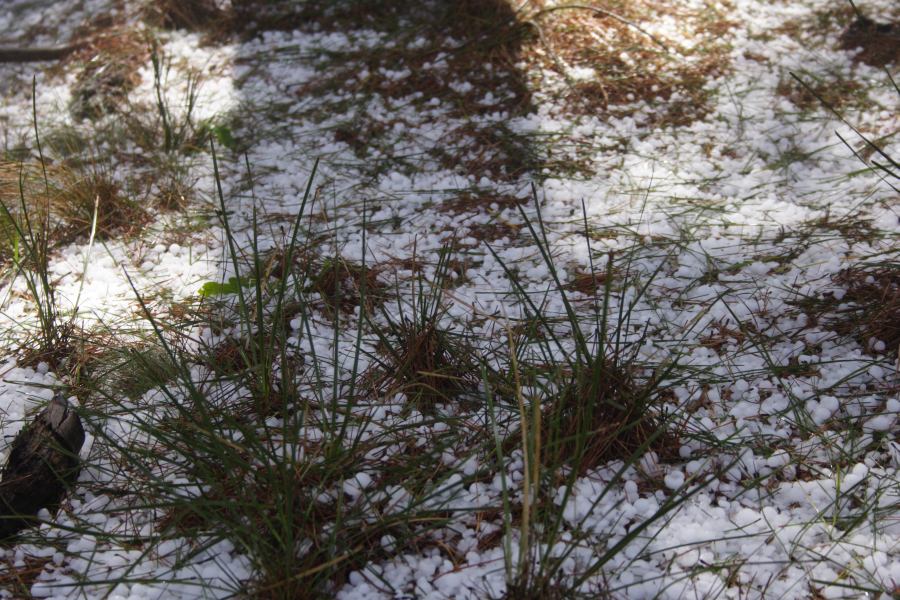 hailstones hail_stones : Sunny Corner, NSW   3 February 2007