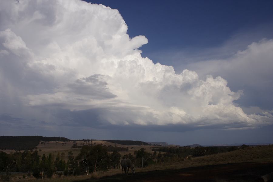 cumulonimbus thunderstorm_base : S of Cherry Tree Hill, NSW   3 February 2007