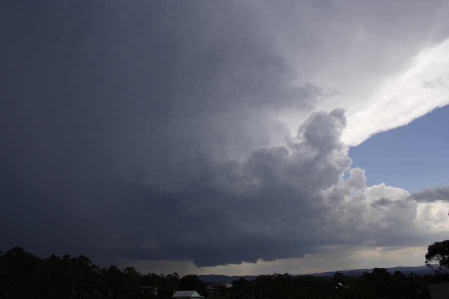 updraft thunderstorm_updrafts : near Lithgow, NSW   7 February 2007
