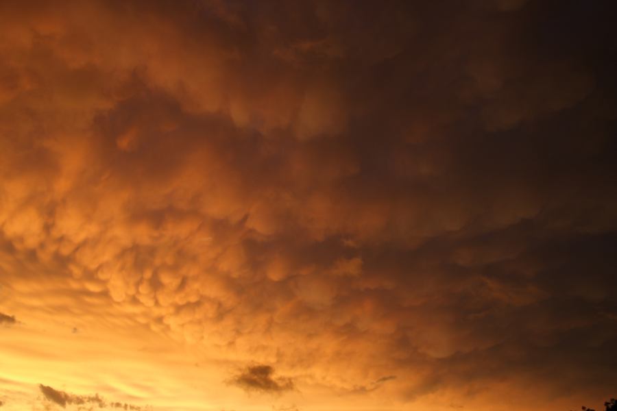 mammatus mammatus_cloud : Schofields, NSW   7 February 2007