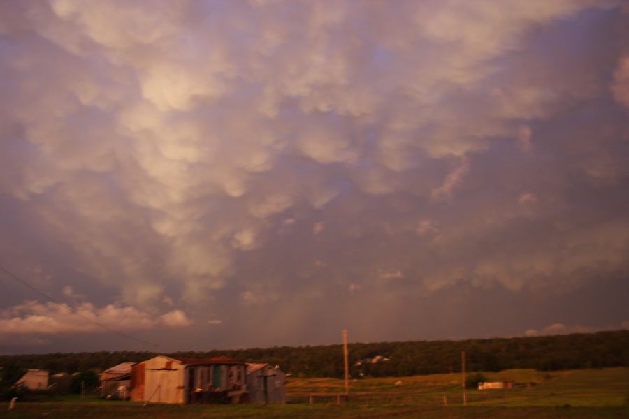 mammatus mammatus_cloud : Schofields, NSW   7 February 2007