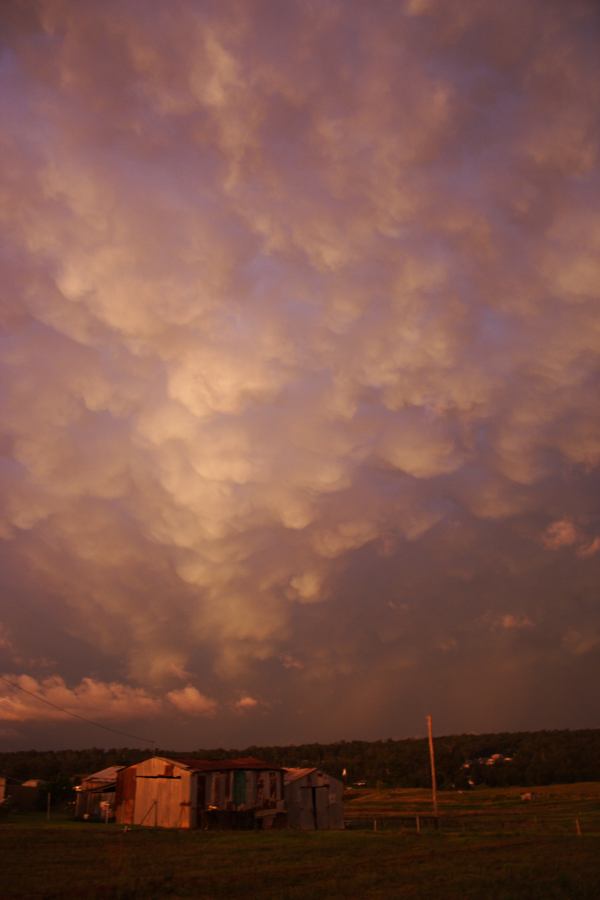 mammatus mammatus_cloud : Schofields, NSW   7 February 2007