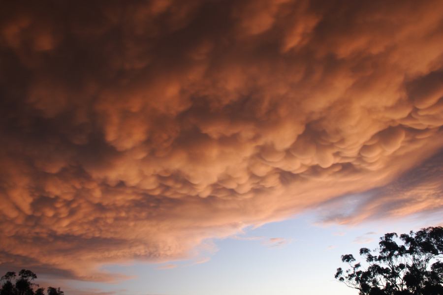 mammatus mammatus_cloud : Coonabarabran, NSW   10 February 2007