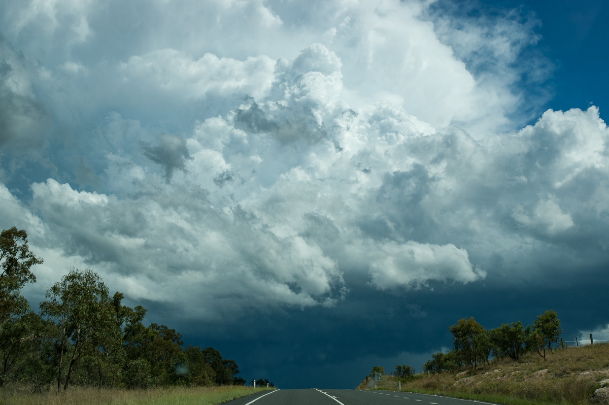 favourites michael_bath : S of Tenterfield, NSW   10 February 2007