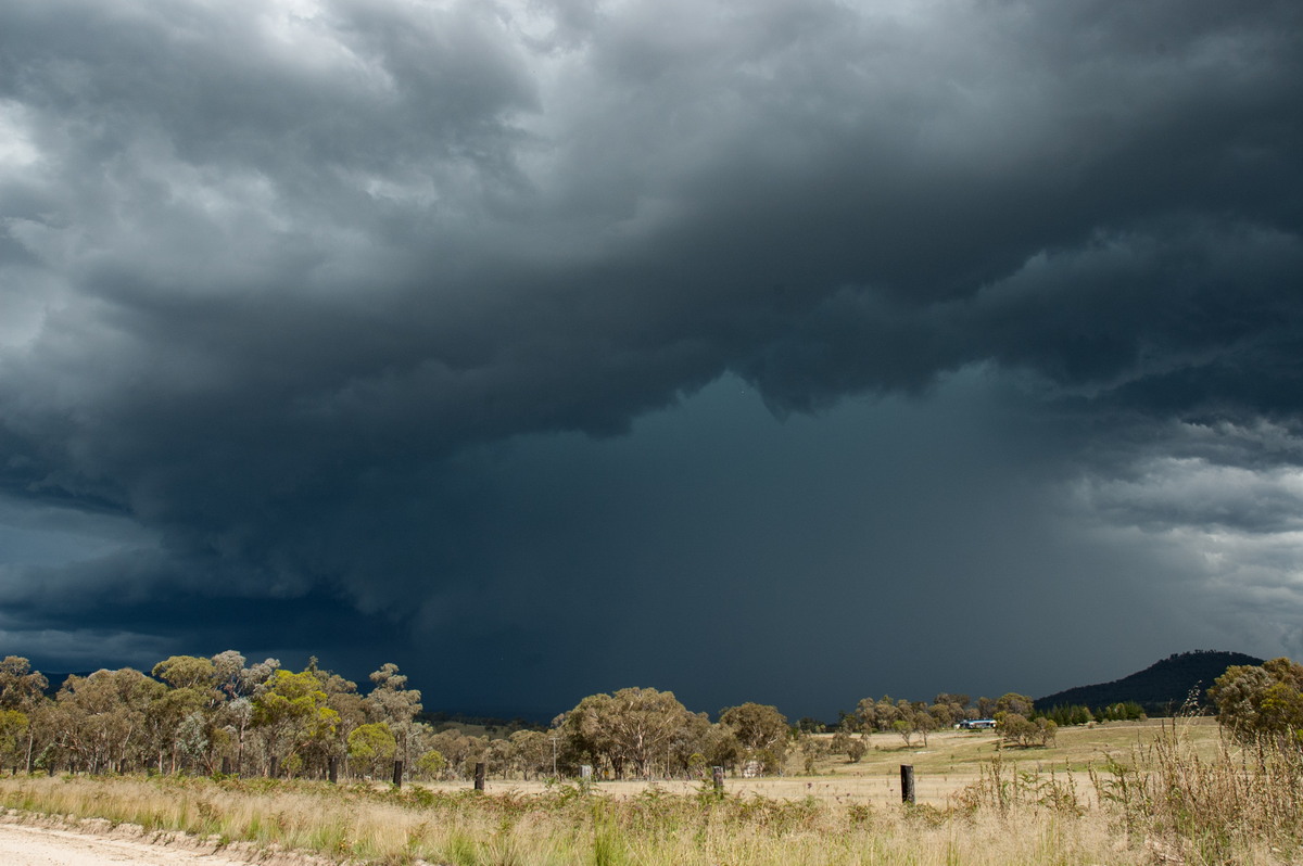 favourites michael_bath : S of Tenterfield, NSW   10 February 2007