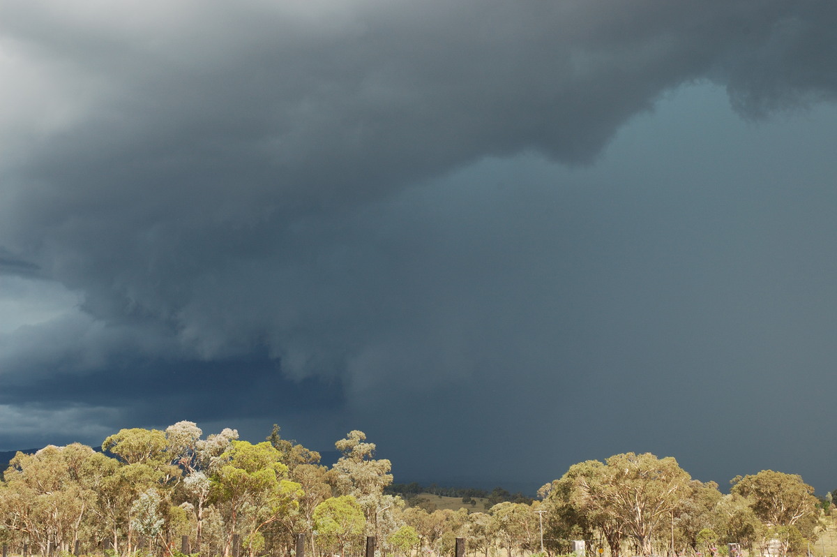 cumulonimbus thunderstorm_base : S of Tenterfield, NSW   10 February 2007