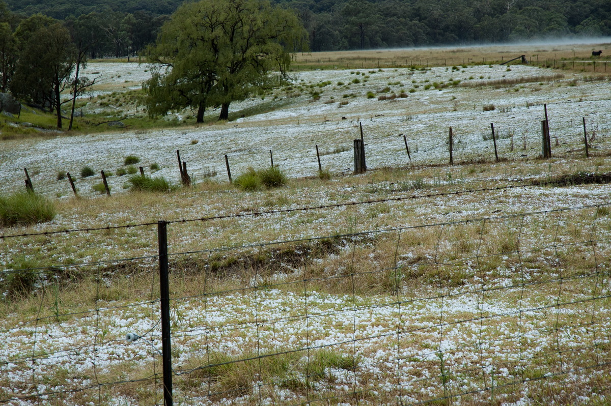 hailstones hail_stones : S of Tenterfield, NSW   10 February 2007