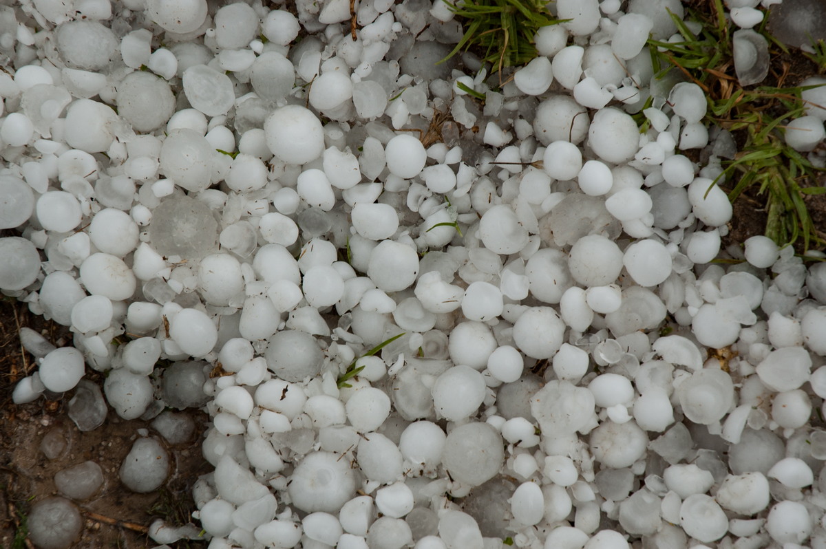 hailstones hail_stones : S of Tenterfield, NSW   10 February 2007