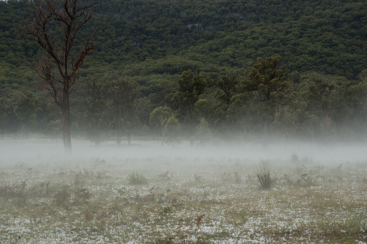 fogmist fog_mist_frost : S of Tenterfield, NSW   10 February 2007