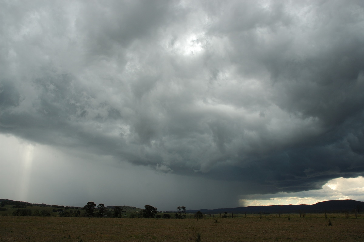 cumulonimbus thunderstorm_base : Tenterfield, NSW   10 February 2007