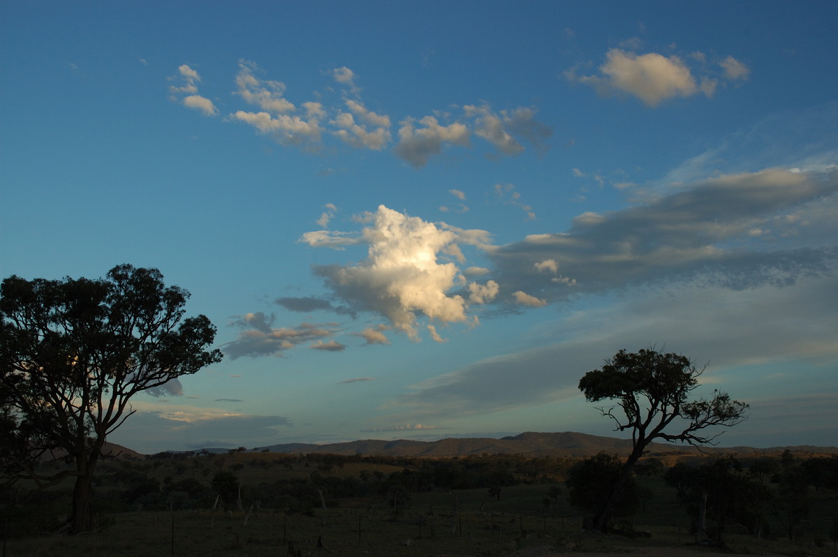 cumulus mediocris : W of Tenterfield, NSW   10 February 2007