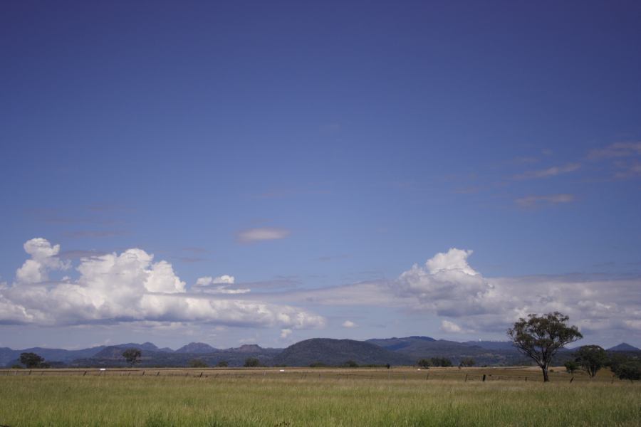 cumulus mediocris : Coonabarabran, NSW   11 February 2007