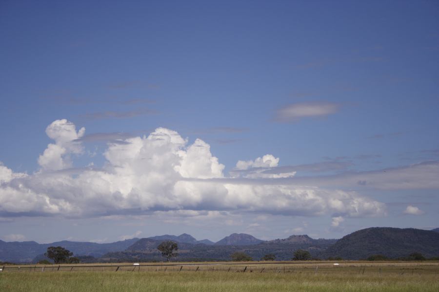 cumulus mediocris : Coonabarabran, NSW   11 February 2007