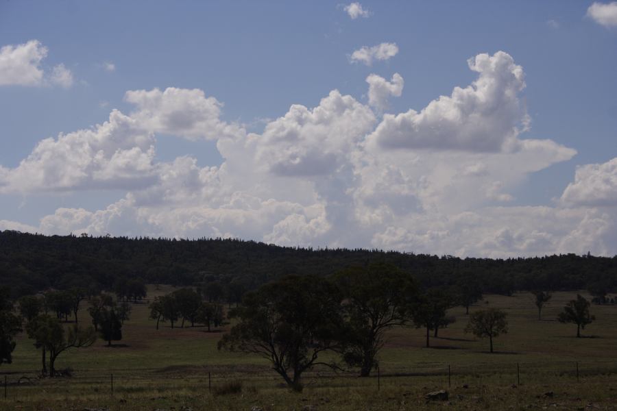 cumulus mediocris : N of Dunedoo, NSW   11 February 2007