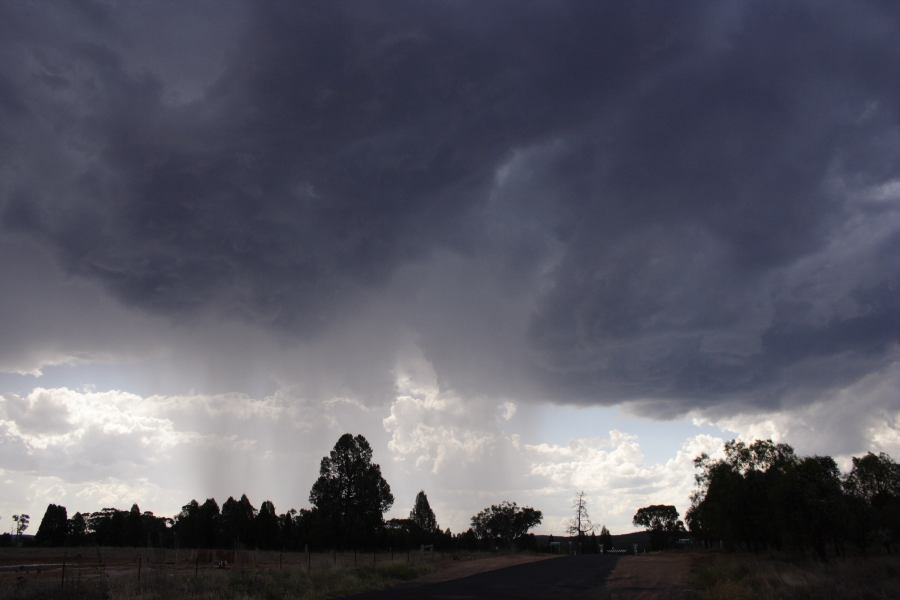 cumulonimbus thunderstorm_base : long Elong, NSW   11 February 2007