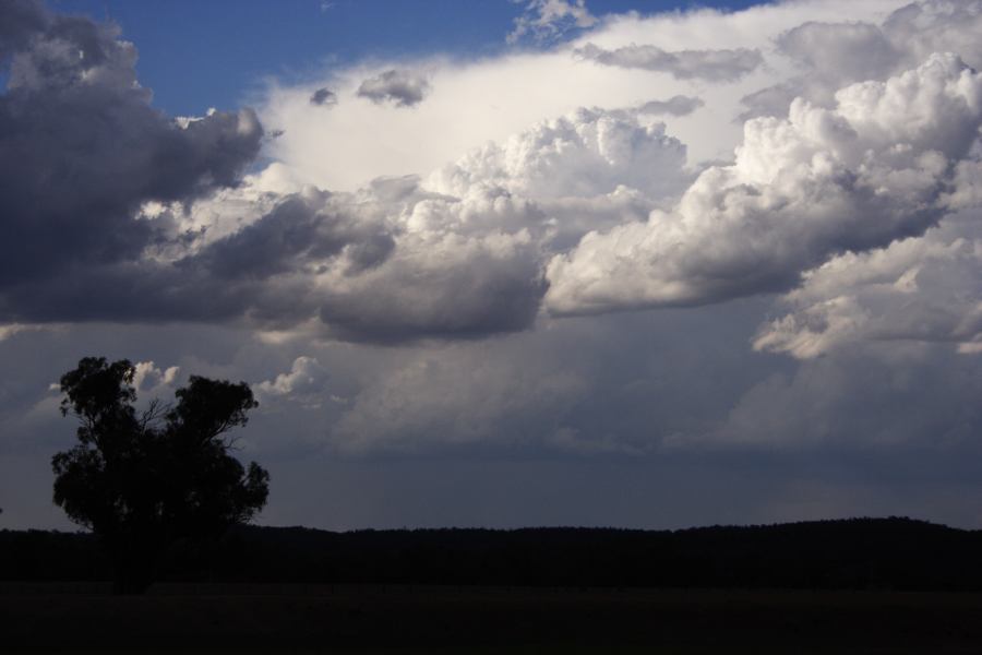 cumulonimbus thunderstorm_base : Elong Elong, NSW   11 February 2007
