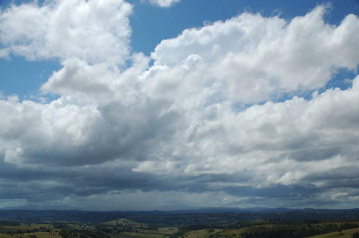 cumulus mediocris : McLeans Ridges, NSW   11 February 2007