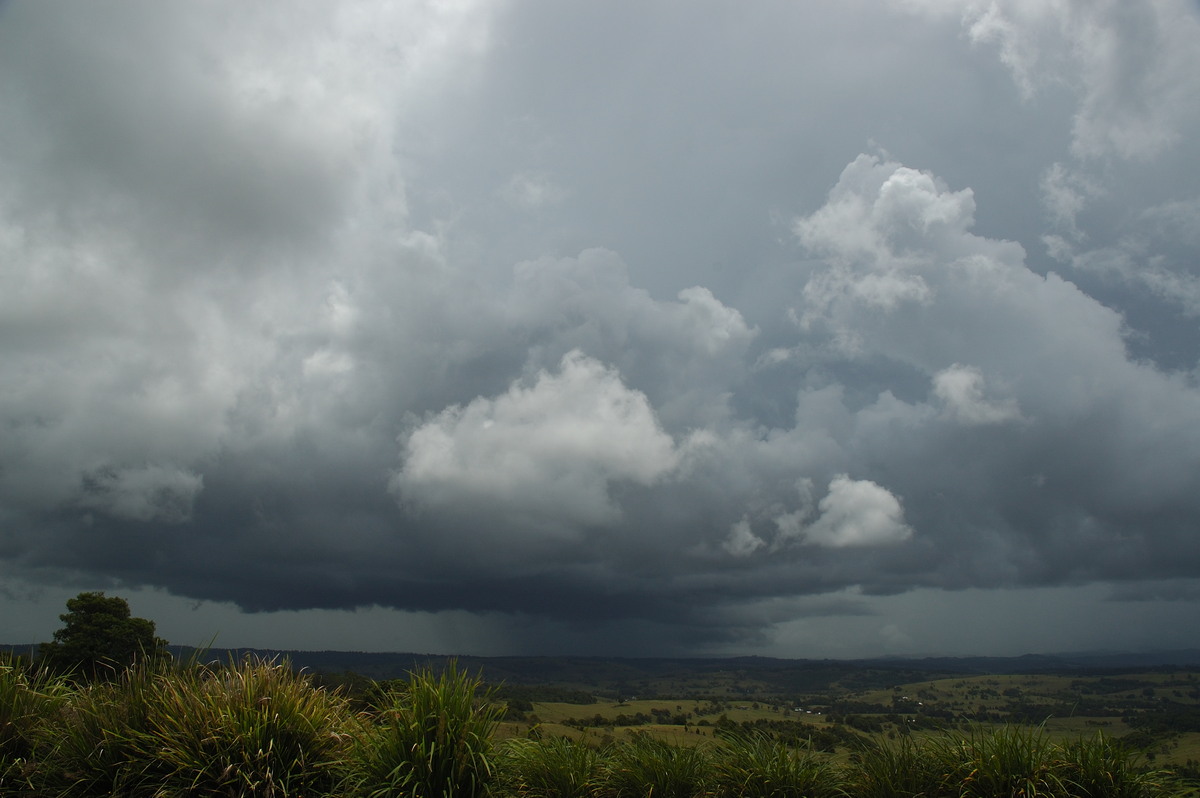 cumulonimbus thunderstorm_base : McLeans Ridges, NSW   12 February 2007