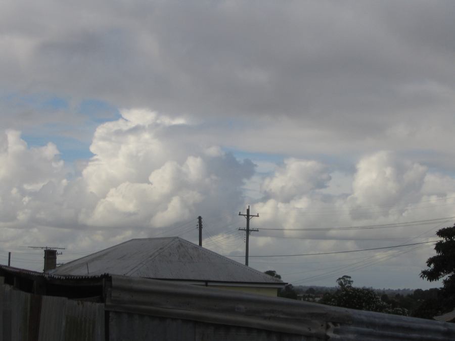 cumulus mediocris : Schofields, NSW   13 February 2007