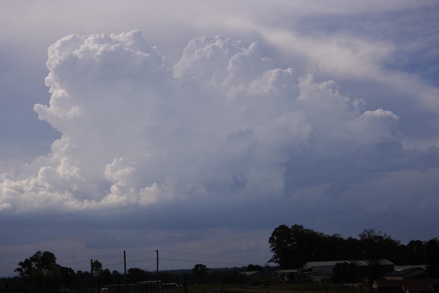 updraft thunderstorm_updrafts : Schofields, NSW   19 February 2007