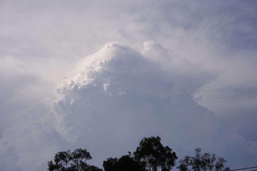 updraft thunderstorm_updrafts : Riverstone, NSW   19 February 2007