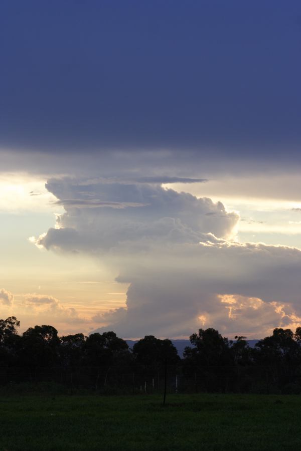 altostratus altostratus_cloud : Schofields, NSW   22 February 2007