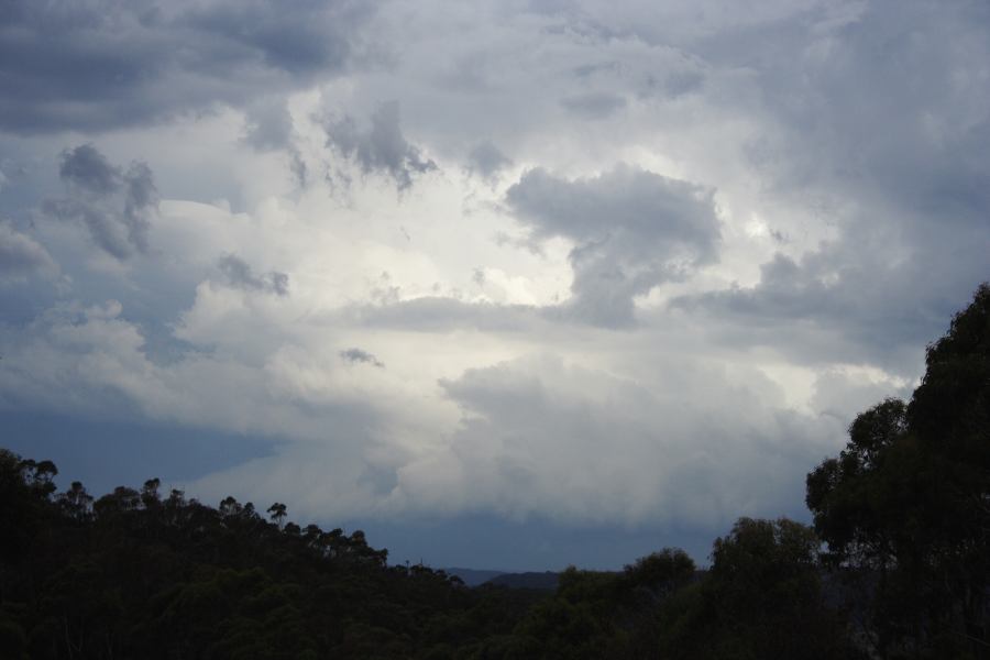 cumulonimbus thunderstorm_base : near Mt Tomah, NSW   24 February 2007