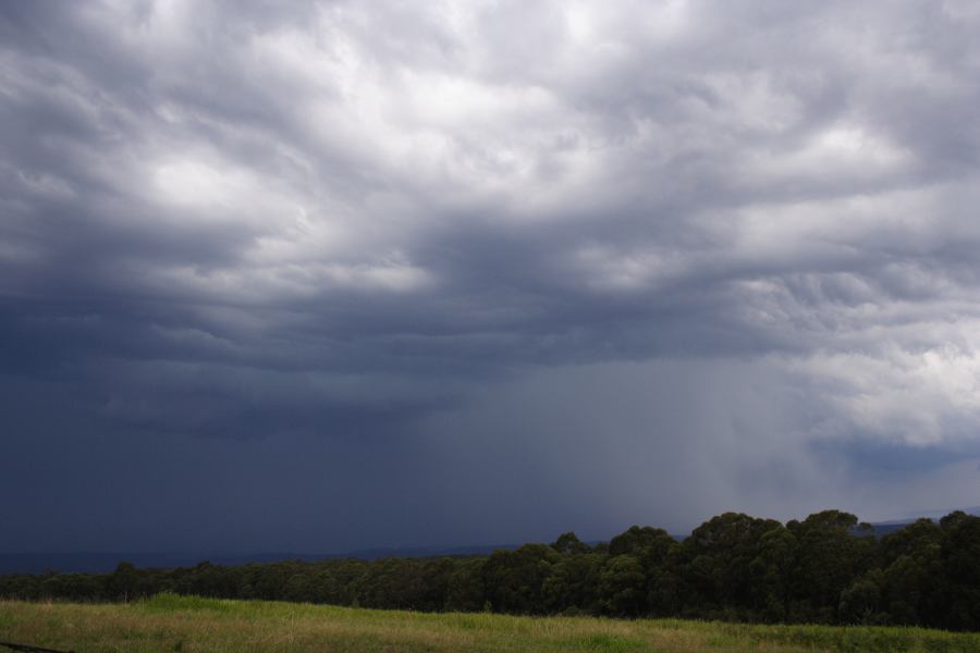cumulonimbus thunderstorm_base : Bilpin, NSW   24 February 2007