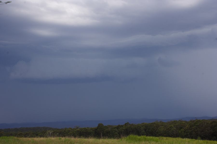 raincascade precipitation_cascade : Bilpin, NSW   24 February 2007