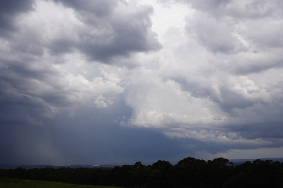 raincascade precipitation_cascade : Bilpin, NSW   24 February 2007