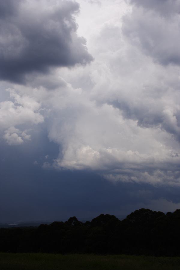 cumulonimbus thunderstorm_base : Bilpin, NSW   24 February 2007