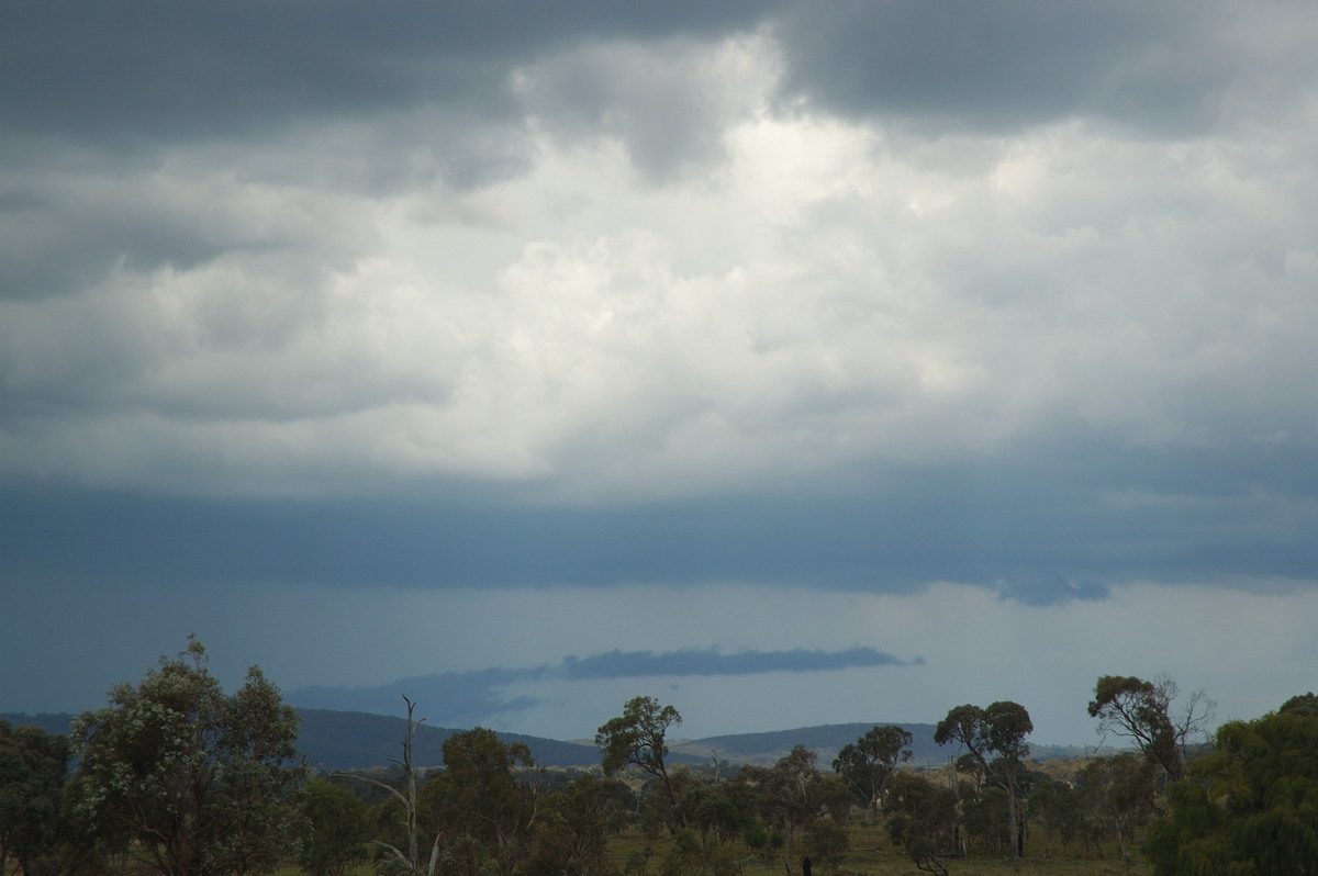 cumulonimbus thunderstorm_base : near Deepwater, NSW   25 February 2007