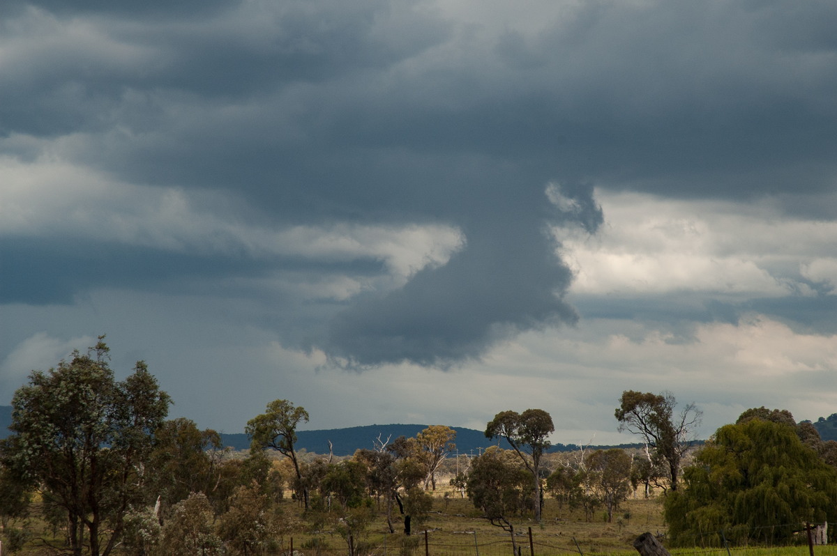 cumulonimbus thunderstorm_base : near Deepwater, NSW   25 February 2007