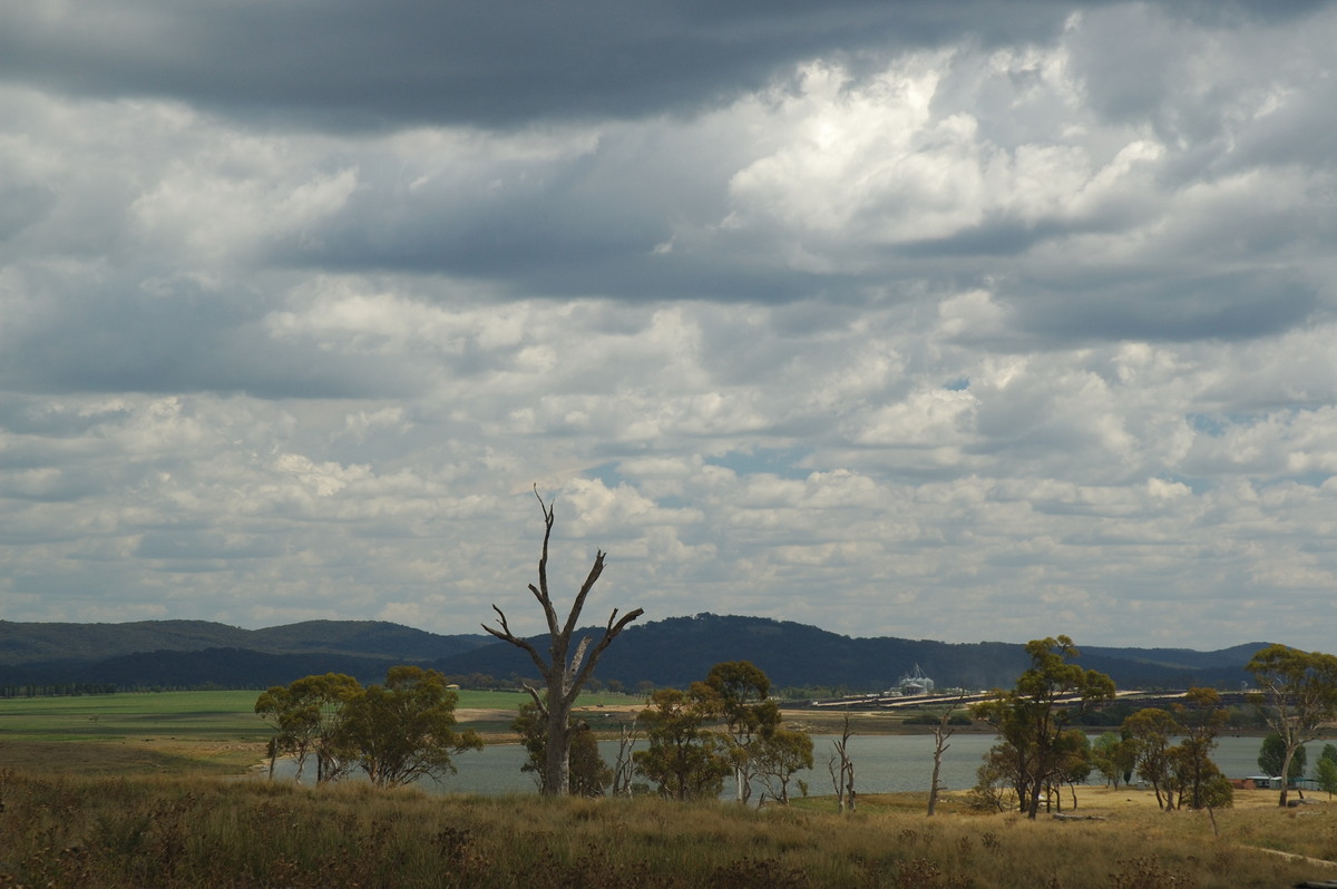 cumulus mediocris : near Deepwater, NSW   25 February 2007