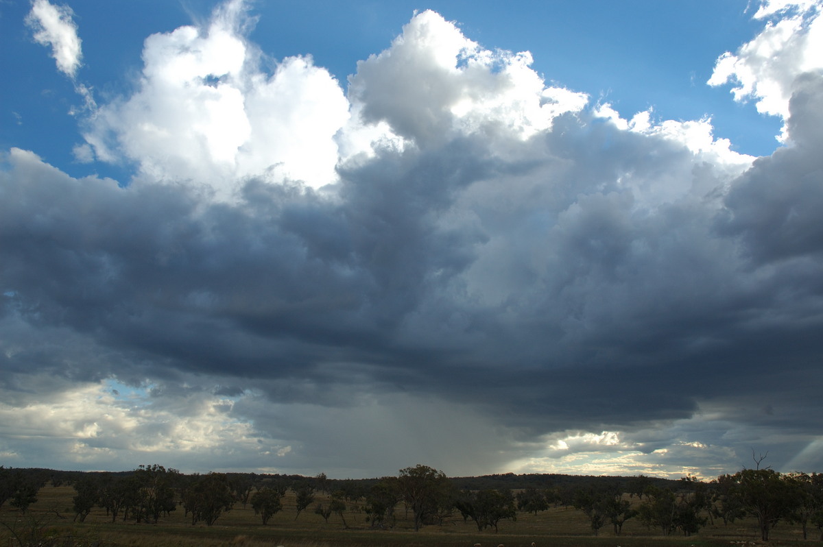 cumulus congestus : near Bonshaw, NSW   25 February 2007
