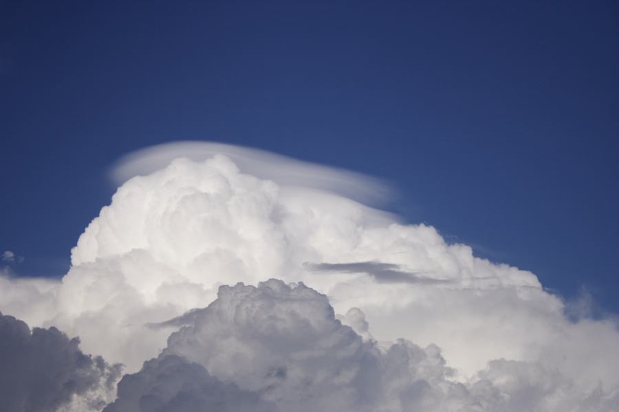 pileus pileus_cap_cloud : Windsor, NSW   28 February 2007