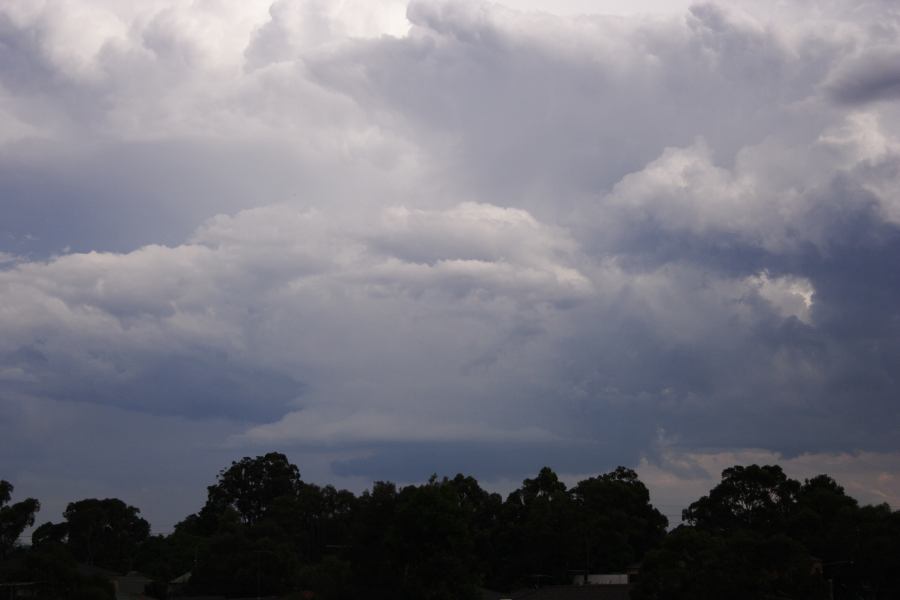cumulonimbus thunderstorm_base : near Liverpool, NSW   1 March 2007