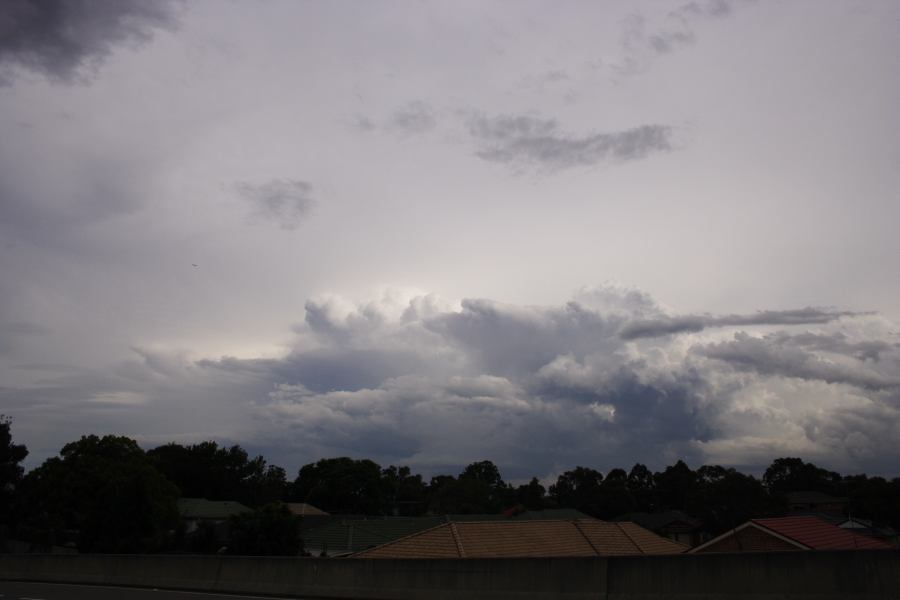 thunderstorm cumulonimbus_calvus : near Liverpool, NSW   1 March 2007
