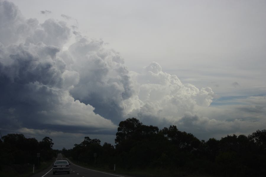 updraft thunderstorm_updrafts : near Engadine, NSW   1 March 2007