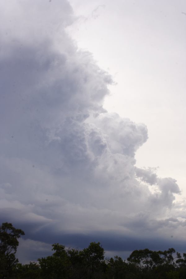 updraft thunderstorm_updrafts : near Heathcote, NSW   1 March 2007